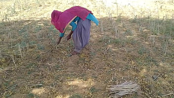 खेत में काम करती हुई देसी लड़की को उसका इंडियन बॉयफ्रेंड ज़ोरदार चोद रहा है