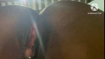 Esposa Safada Dando O último Rabo Do Ano Pro Amante, Antes Do Marido Corno Chegar.