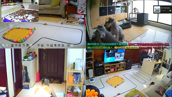 东方情欲：华人私密生活探秘