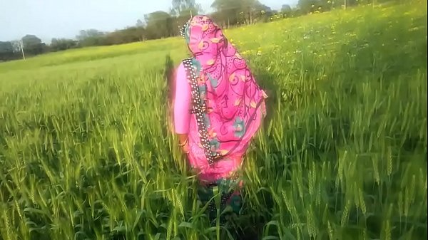 Desi Village Bhabhi’s Wild Outdoor Fuck In The Fields