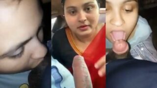 Desi Temptresses: Scorching Young Beauties In Erotic Videos