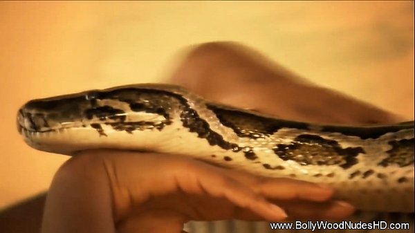 The Raw Awakening Of Humanity’s First Lust