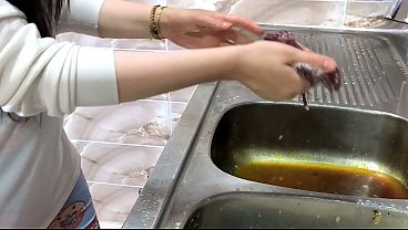 كفيل سعودي ينيك الخادمة المصرية بشراسة في غياب زوجته