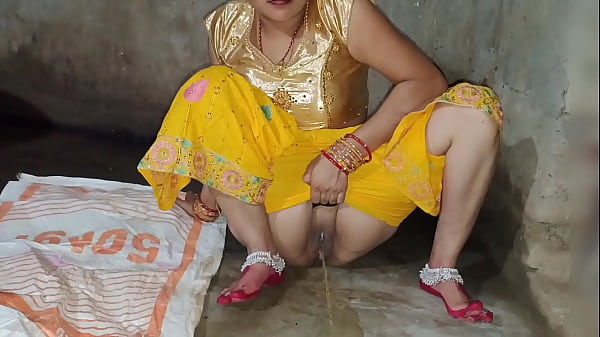 इन्डियन माडल भाभी और देवर की जोरदार चुदाई की साफ हिंदी आवाज़